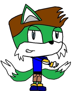  Name:Linger the cáo, fox Age:12 Gender:Male Personality:Stubborn somtimes, Has Sonic's attitude Appear