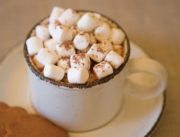 *gets hot cocoa from pinkmare* thanks v. but i  like my hot cocoa with extra marshmellows *dumps mars