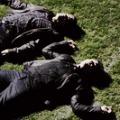  Stefan and Damon