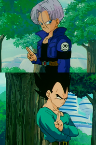 F.Trunks and  Vegeta, start by saying that their intercours is something amazing, Trunks in his time 