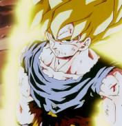 Character Name: Son Goku
Occupation: Super Saiyan and protector of earth
Anime: Dragon Ball