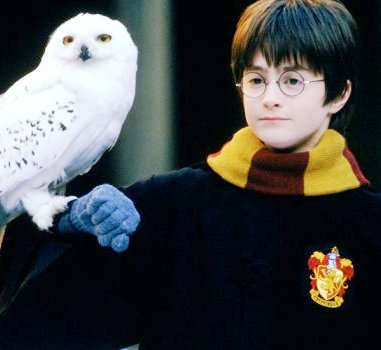 Harry in [i]Harry Potter and The Sorcerers Stone[/i]