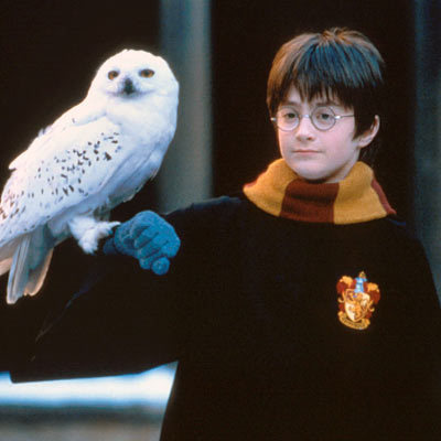 Harry and his snowy owl,Hedwig from the Harry Potter movies 