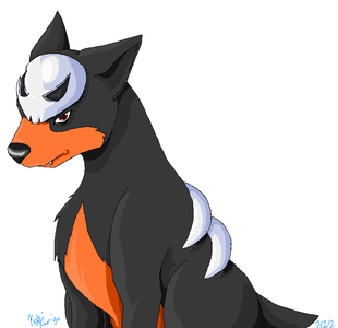  (Here's my star, sterne pokemon) Birth/Given Name: Rexas Species: Houndour Gender: Male Age: 17 Level: