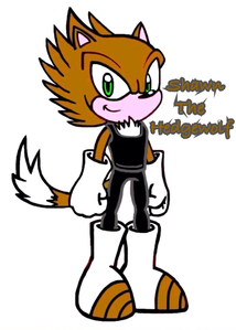 Name:Shawn Age:14 Species:Hedgewolf 毛皮 Color:brown Eye Color:Green