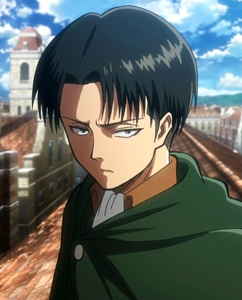  my favourite stays LEVI RIVAILLE. He's so strong and cool.And I like his rude and indifferent attitud
