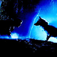  Theme 1: [url=http://www.fanpop.com/clubs/werewolves/picks/results/1350299/10in10-icon-challenge-roun
