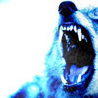  Theme 2: [url=http://www.fanpop.com/clubs/werewolves/picks/results/1350307/10in10-icon-challenge-roun