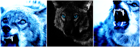  Category: [url=http://www.fanpop.com/clubs/werewolves/picks/results/1350311/10in10-icon-challenge-rou