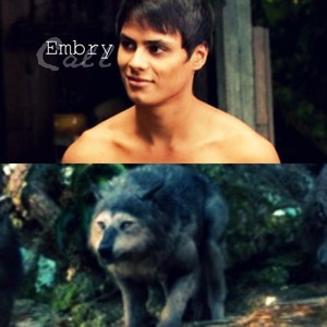 New Round : Embry Call (pics can be human or wolf form or both). this is my...
