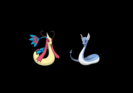 Dragonair and Milotic.  

Milotic is a water type and Dragonair is a dragon type.