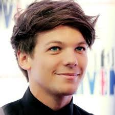  i think Louis Tomlinson. 1:he is cute 2: his hair 3: he is funny 4:hes a lovebird, yêu chim like Brandon (