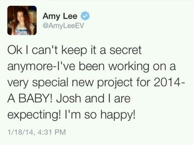  "Ok I can't keep it a secret anymore-I've been working on a very special new project for 2014-A BABY!