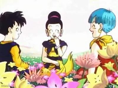 I'M BACK!!!!!!!!!!!!!!!!!!!!! XD Here is a picture of ChiChi, Bulma, and Videl. Now how about a fan a