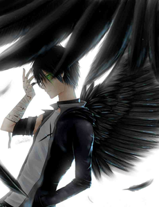  "Then look above you." Raphael sinabi bluntly. Another angel was falling from the sky. It crashed a few