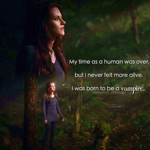  My time as a human was over, but I'd never felt madami alive. I was born to be a Vampire."