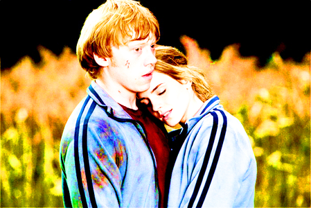 [b]Day 16 : Favorite movie couple[/b]

Ron & Hermione.