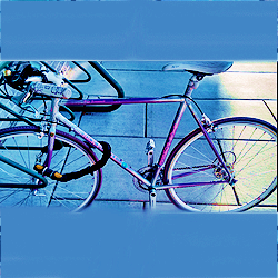  दिन 14 - Best mode of transportation? [b] Bicycles [/b]