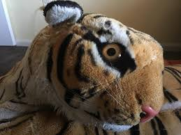 I have 3 tiger posters (2 from Zoobooks and 1 from National Geographic), and a realistic stuffed tige