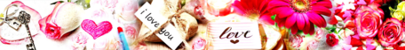 Banner - 1 - Made by Flowerdrop (ana)