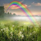  3 - Rainbows 💛
