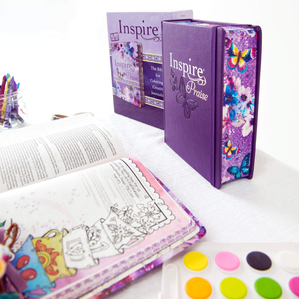 I already have this coloring Bible by the same company. It was actually my first Bible since a child!