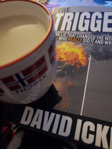 A couple nights ago when I took that edible, I decided to start reading my 9/11 David Icke book. I al
