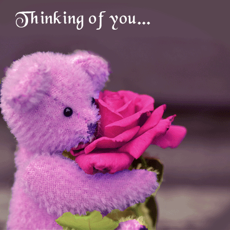  A Rose For My Lovely Romy 🌹