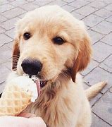 Hi my lovely fanpop Sisters.Hope you are all well I have missed you.Let's share ice cream 🍨 🍨