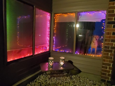 Also my bf put Halloween lights up in his "man cave" window so we now have a full Halloween vibe goin