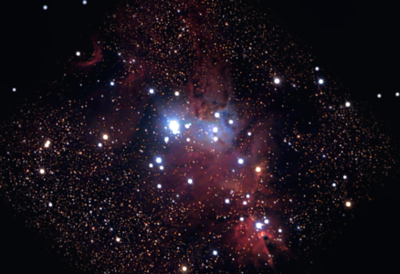  And here's the natal árvore Cluster!