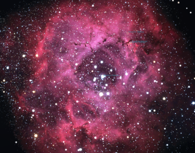  Here's one for toi Berni, it's the Rosette Nebula.