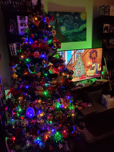I only [b]just now[/b] realized I never shared our tree this year!