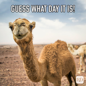 Guess What Day It Is! *lol*