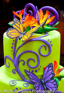 a birthday cake for you Caroline🎂🍰🥳💖