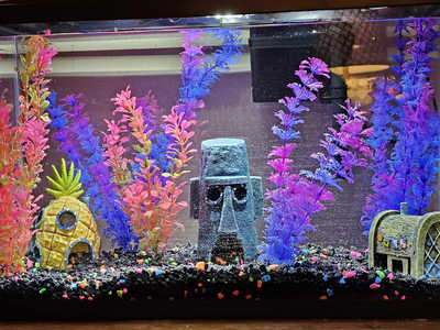So I finally put together my new fish tank! It's a neon Bikini Bottom! I don't have fish yet, but I n