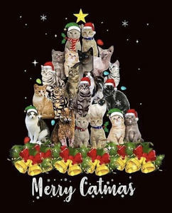 Merry Catmas Besties! 😺🎄