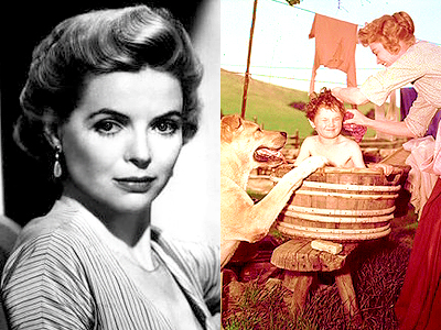 [b]Day 12 - Favorite Classic Disney actress?[/b]
Dorothy McGuire is the mom to which all other Disne