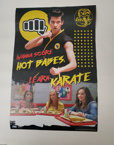  6. One of my cobra Kai posters