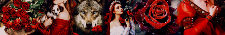  Red mawar - profil Banner (muted)