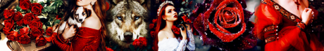 Red Roses - Profile Banner 