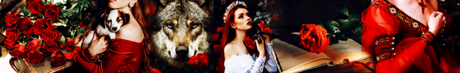 Red Roses (2) - Profile Banner