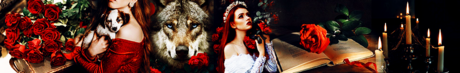Red Roses (3) - Profile Banner