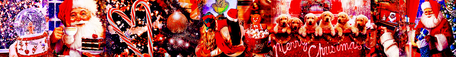 Another Xmas Banner 