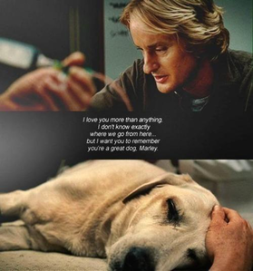 for mia444 - Marley & Me