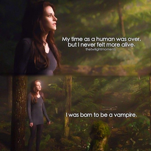  My time as a human was over but I never felt thêm alive. I was born to be a vampire.