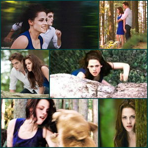  For Kate Twilight_Lover6 made 由 Mia