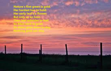  Nature's first green is gold, Her hardest hue to hold. Her early leaf's a flower; But only so an