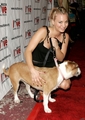 4th Annual Celebrity Comedy Benefit  - kaley-cuoco photo