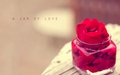 love - A Ja of Love  wallpaper